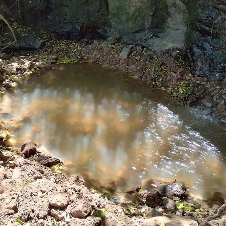Вілла Bangalo Dos Aracas - Sitio Vo Haack Грамаду Екстер'єр фото